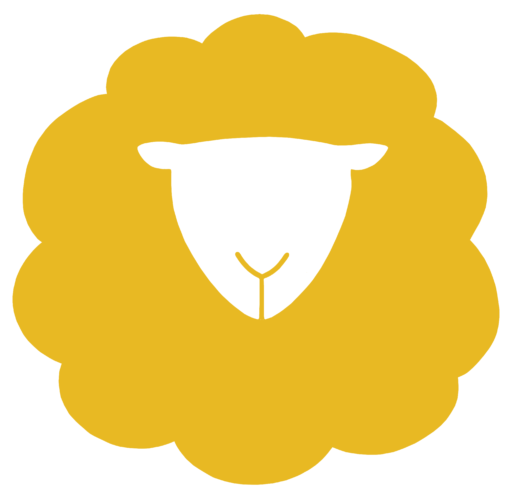 image of a little yellow sheep with a white head